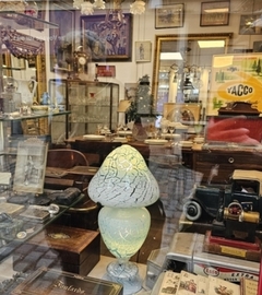 Antiquités Marc Mulsant (9)